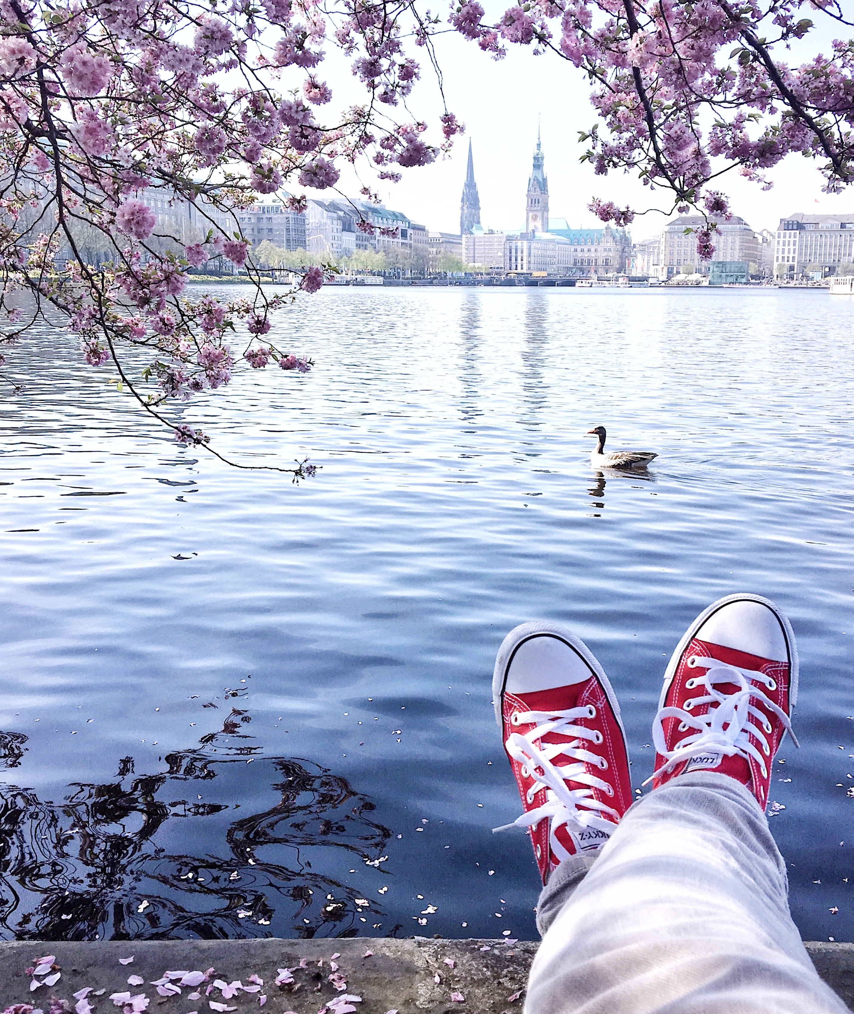 Kirschblüte in Hamburg: Frau Elbvilles Staycation, Urlaub an der Alster