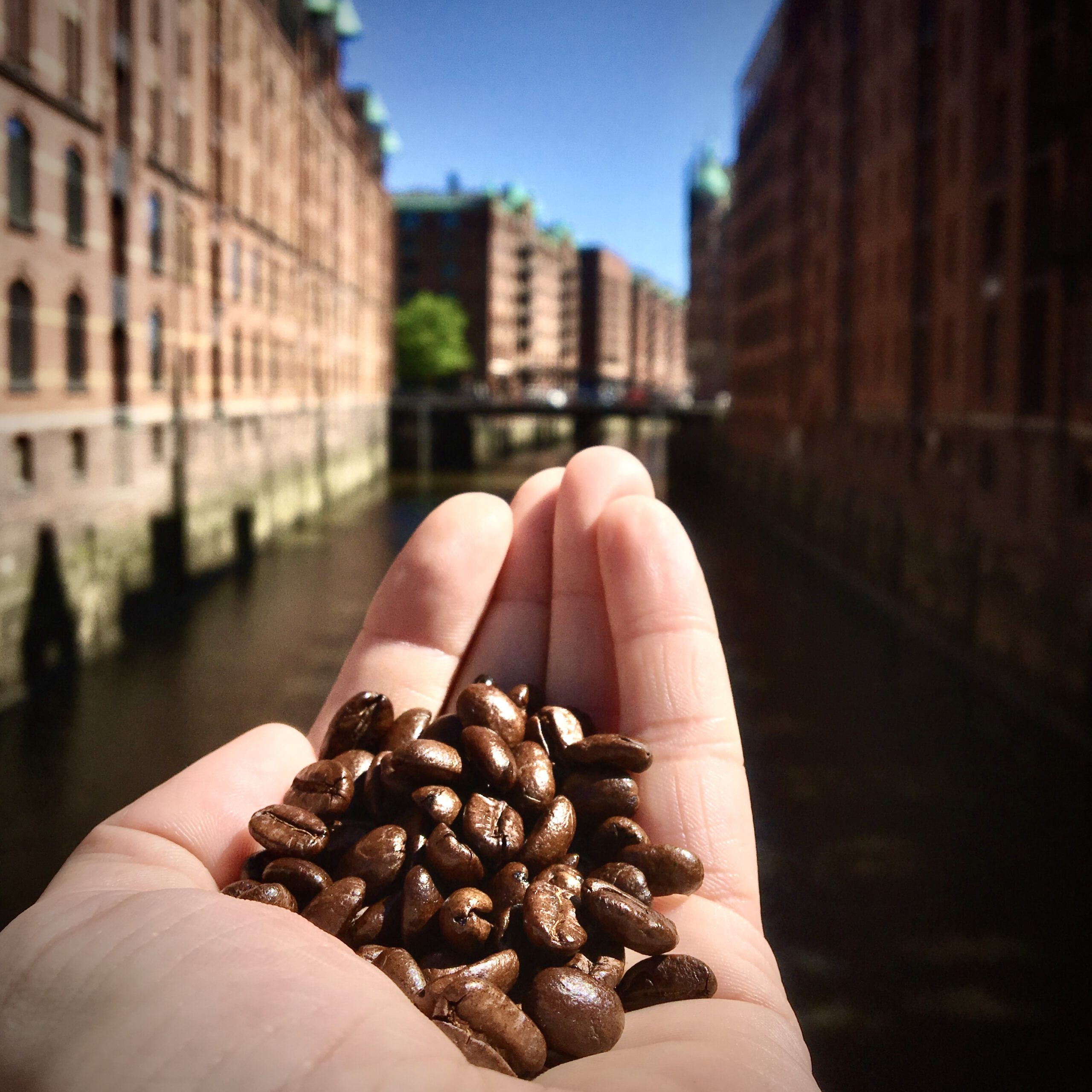 Kaffee kaufen in der Speicherstadt Hamburg: Tipps
