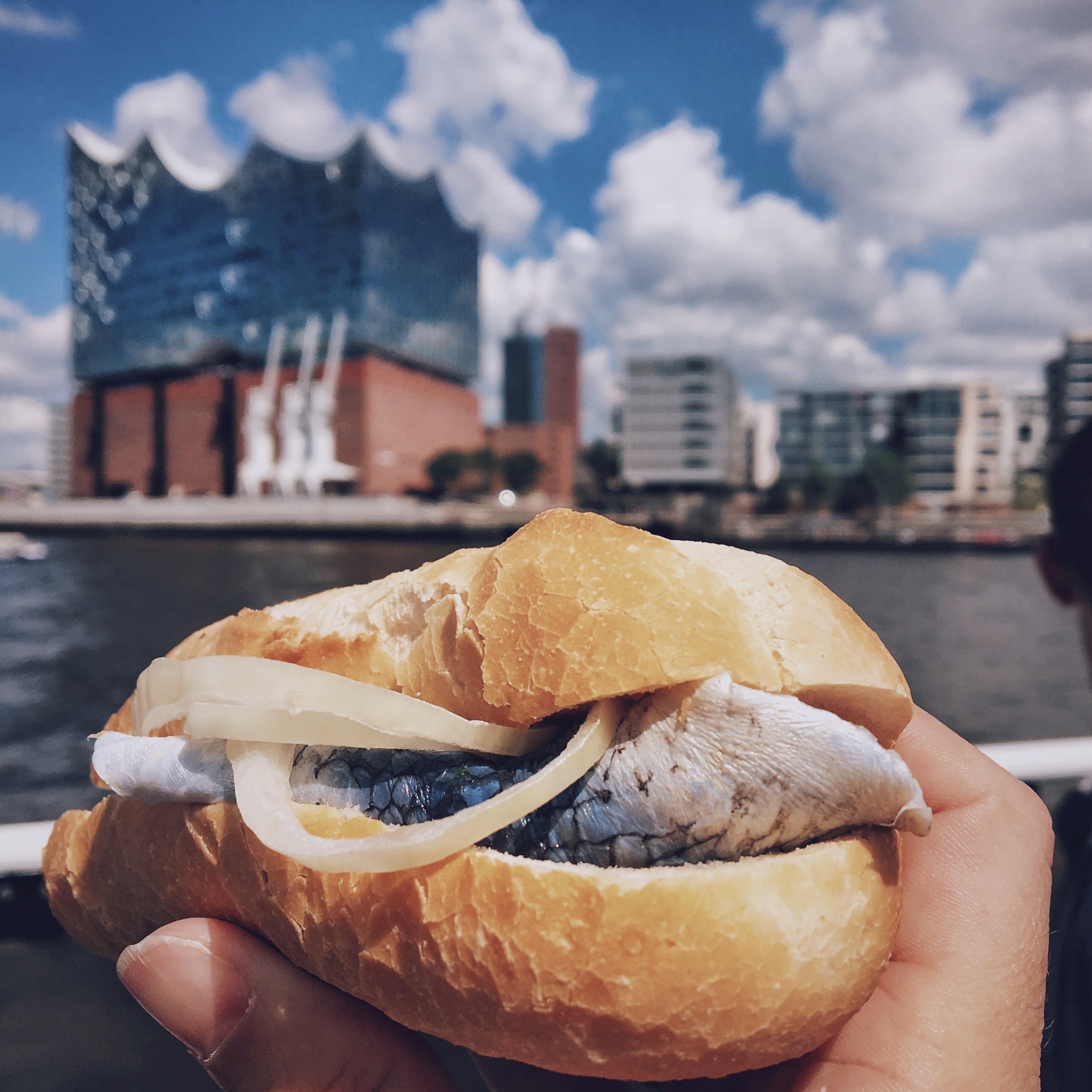 Local Food Hamburg: Fischbrötchen Elbphilharmonie